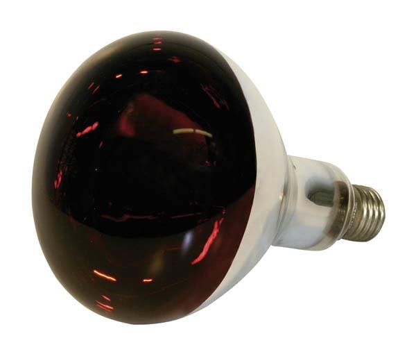 Kerbl Infrarot Hartglaslampen - verschiedene Wattagen